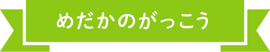 めだかのがっこう